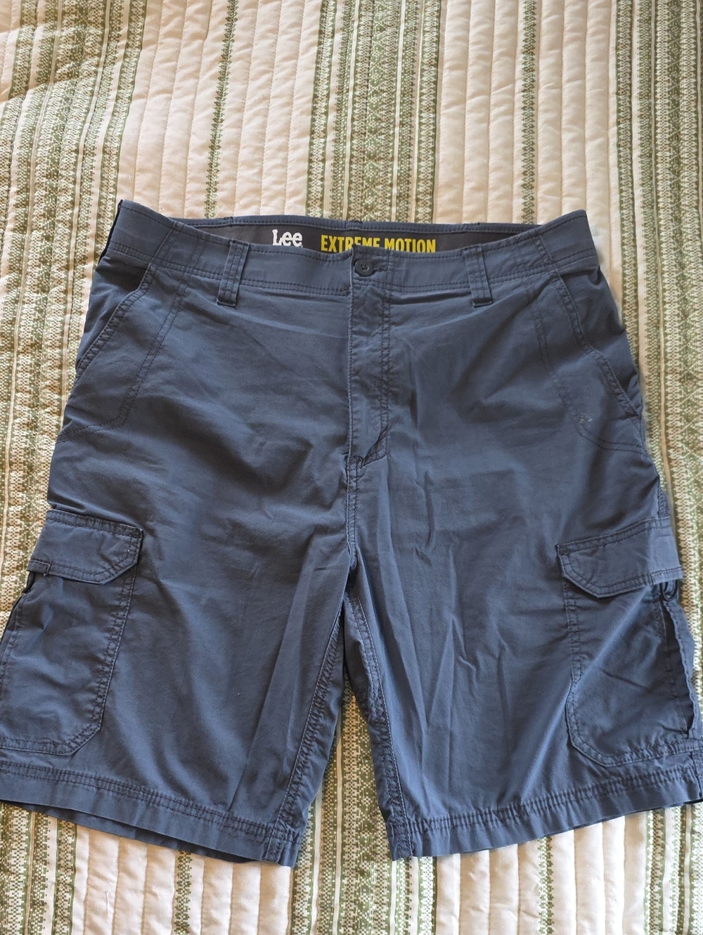Lee Men’s Cargo Shorts - Slate Blue